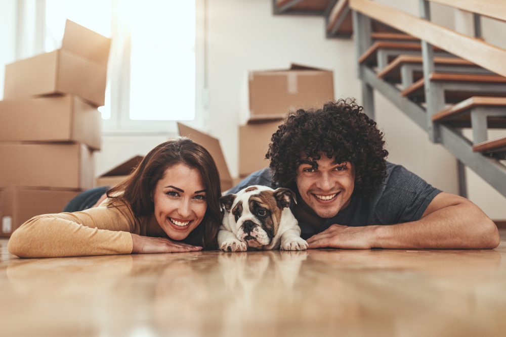 Pet Ownership on a Budget How to Save Money as a Renter